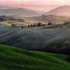 Bellavista