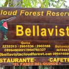 Bellavista