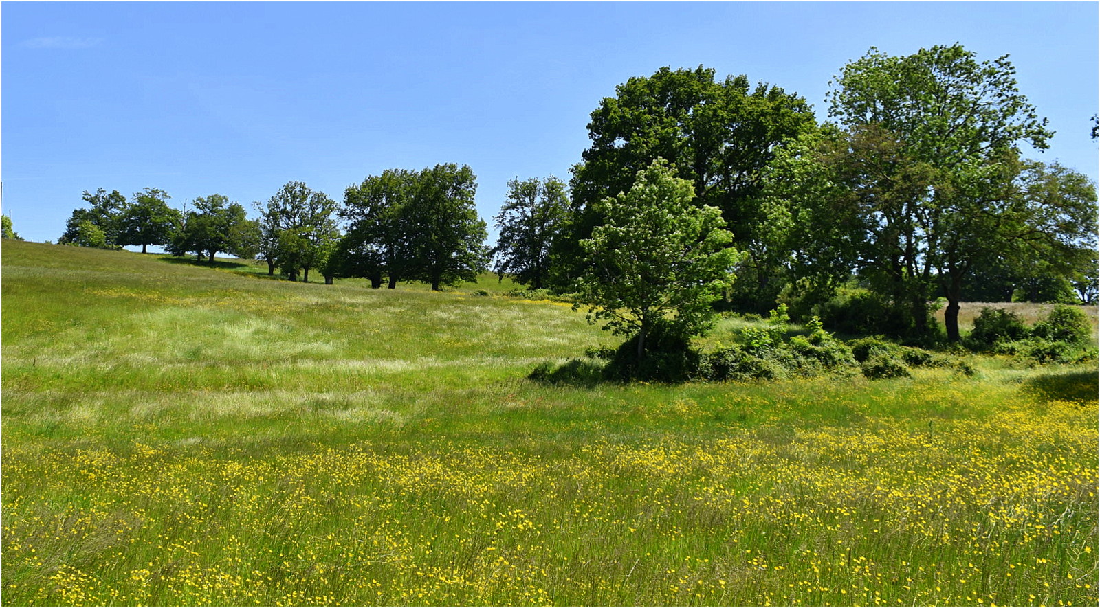 belle campagne