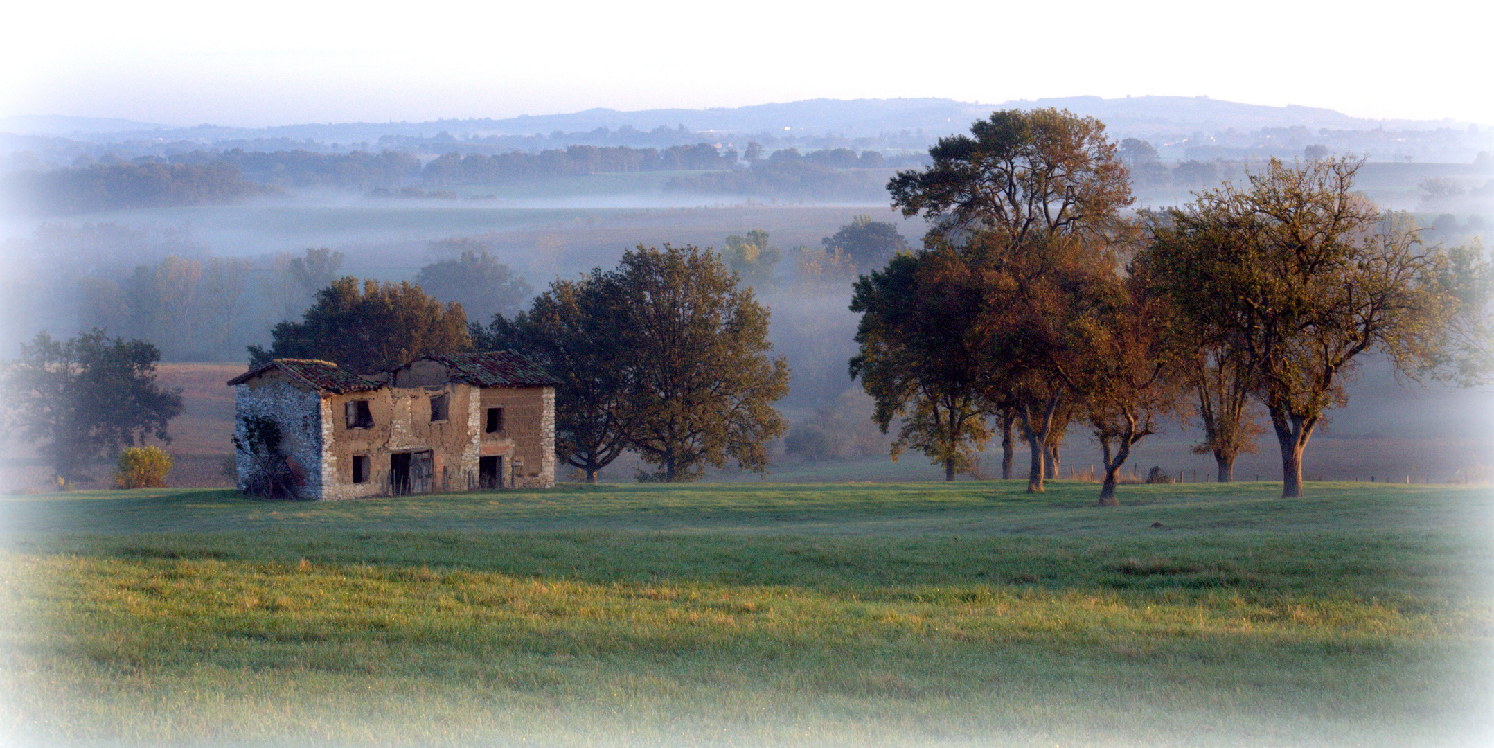 Belle campagne du matin