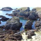 Belle Ile 