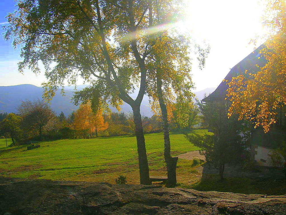 Belle journée d'automne