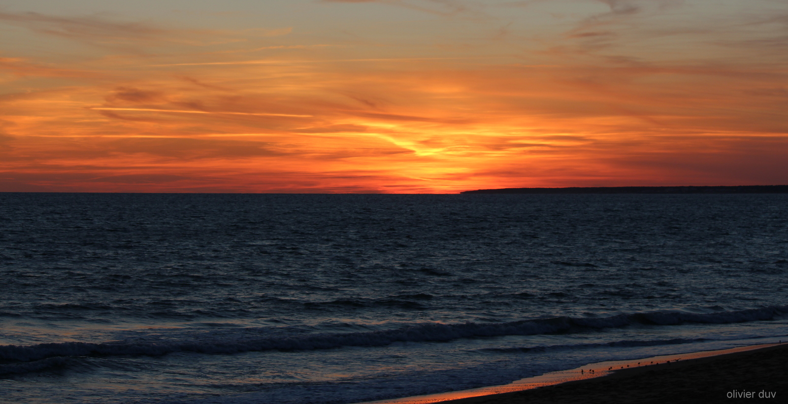 belle orange sur la vague