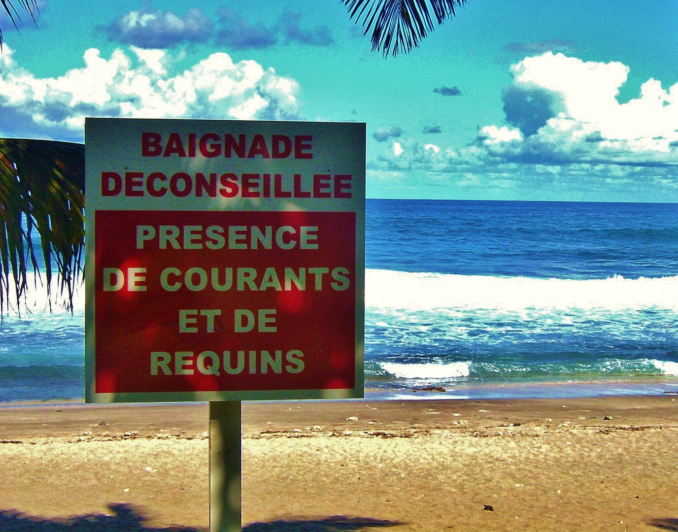 Belle plage à la Réunion.....