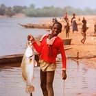 Belle prise d’un « capitaine » dans le fleuve Niger