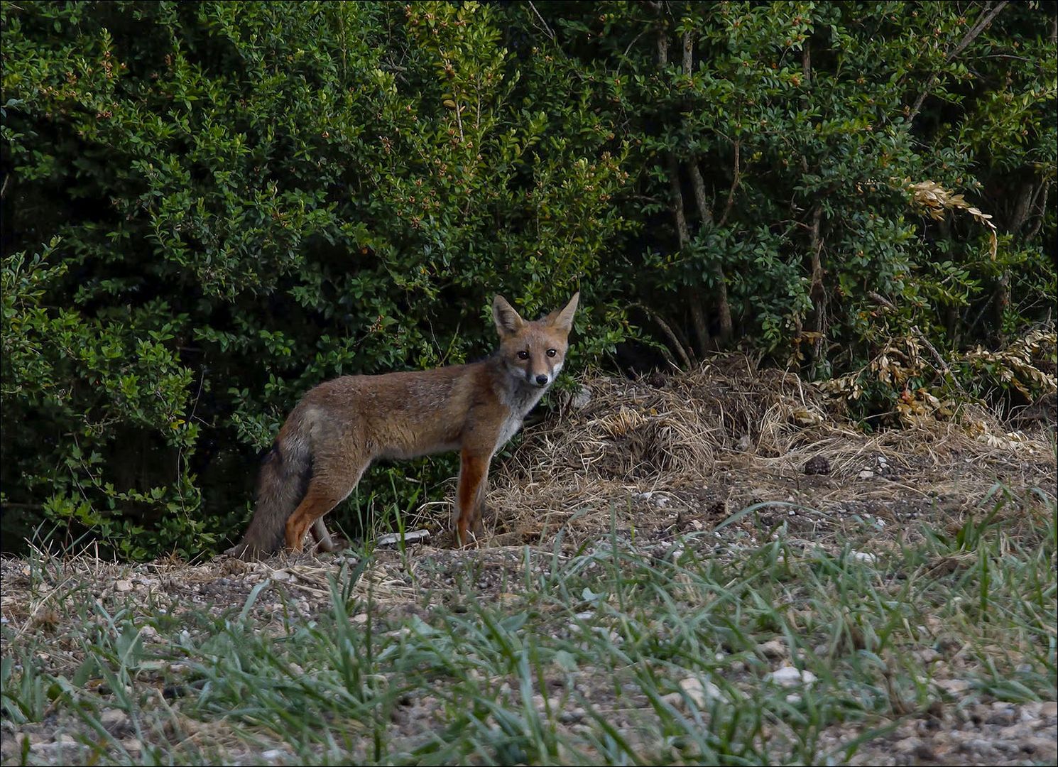 Belle rencontre