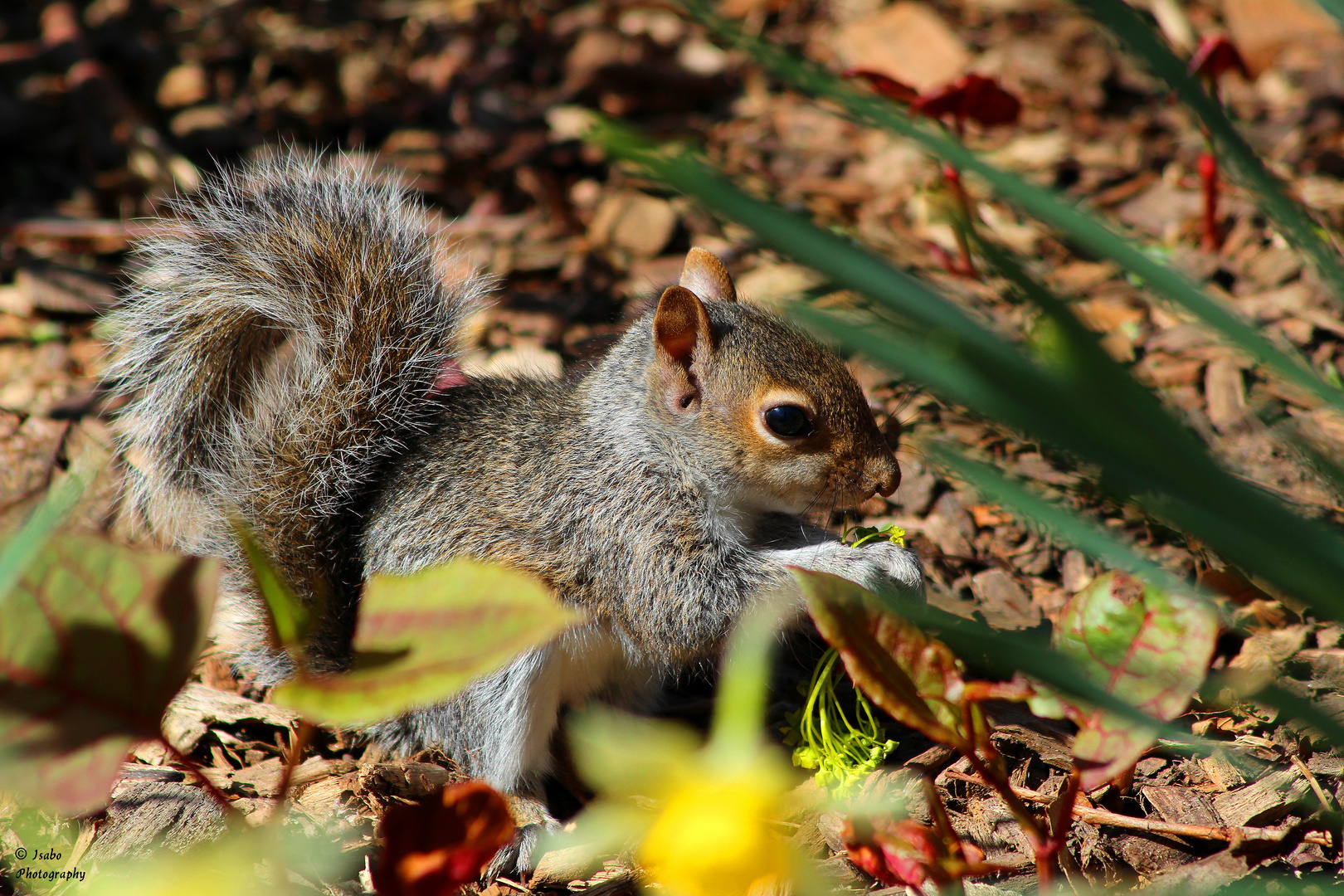 belle rencontre