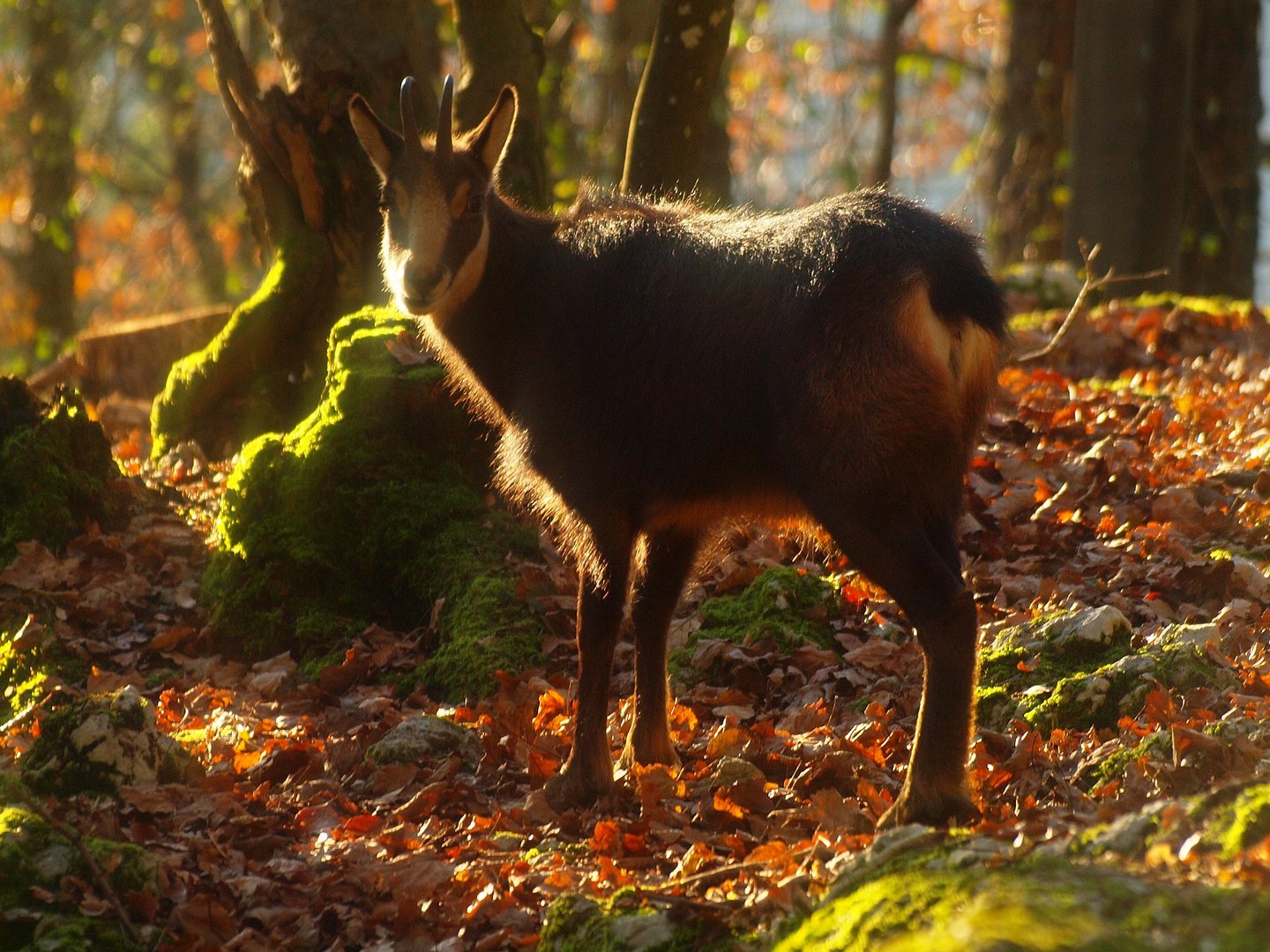 belle rencontre en fin d ap midi