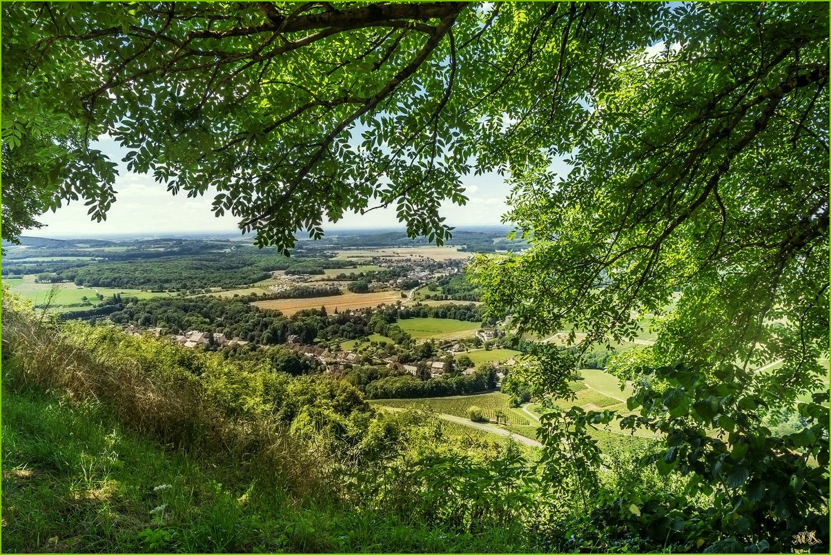 Belle vue du Jura