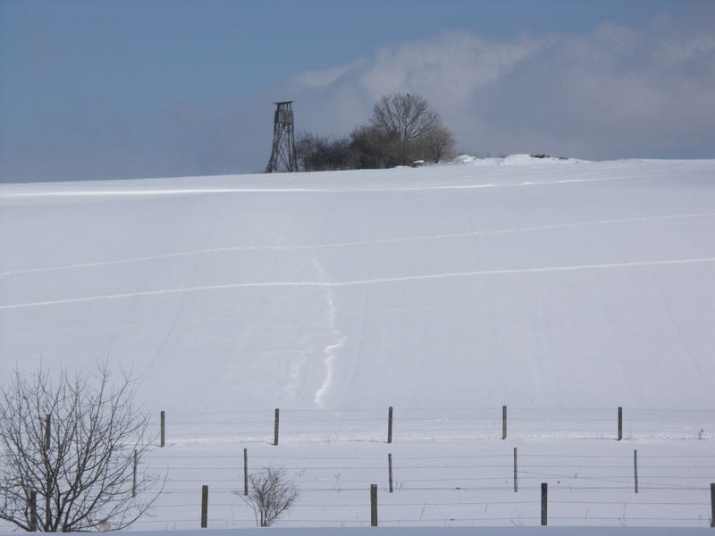 Bellenberg - Blick zum Kraehenberg