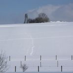 Bellenberg - Blick zum Kraehenberg