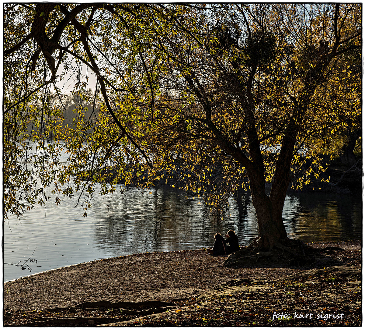 Bellenkrappen-Mündung am Rhein