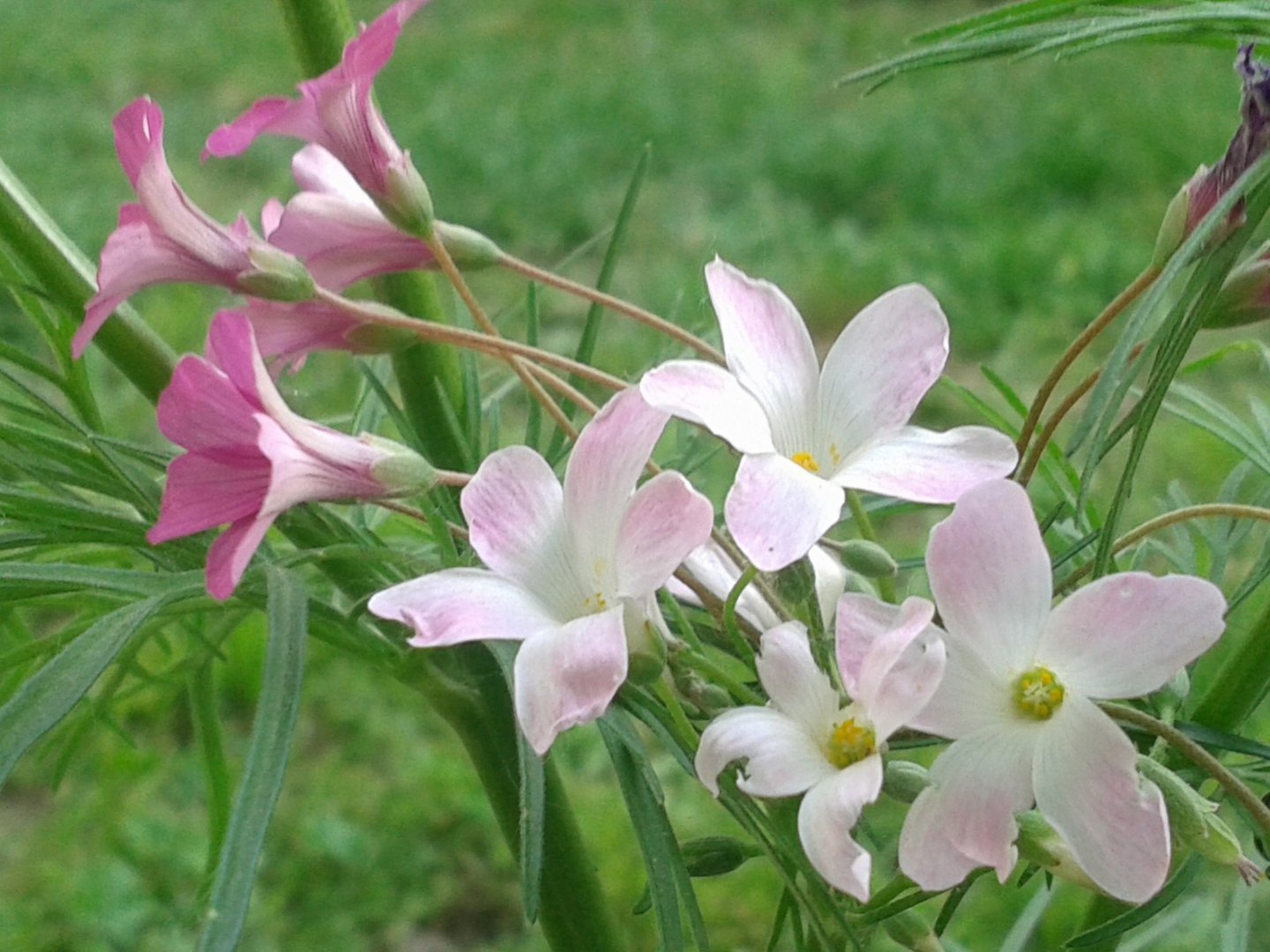 Belleza de la naturaleza