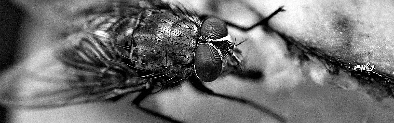 - belleza natural (2) -