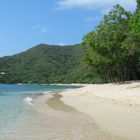 Belleza natural Parque Tayrona 