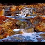 Bellezas del Río Tinto