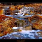 Bellezas del Río Tinto