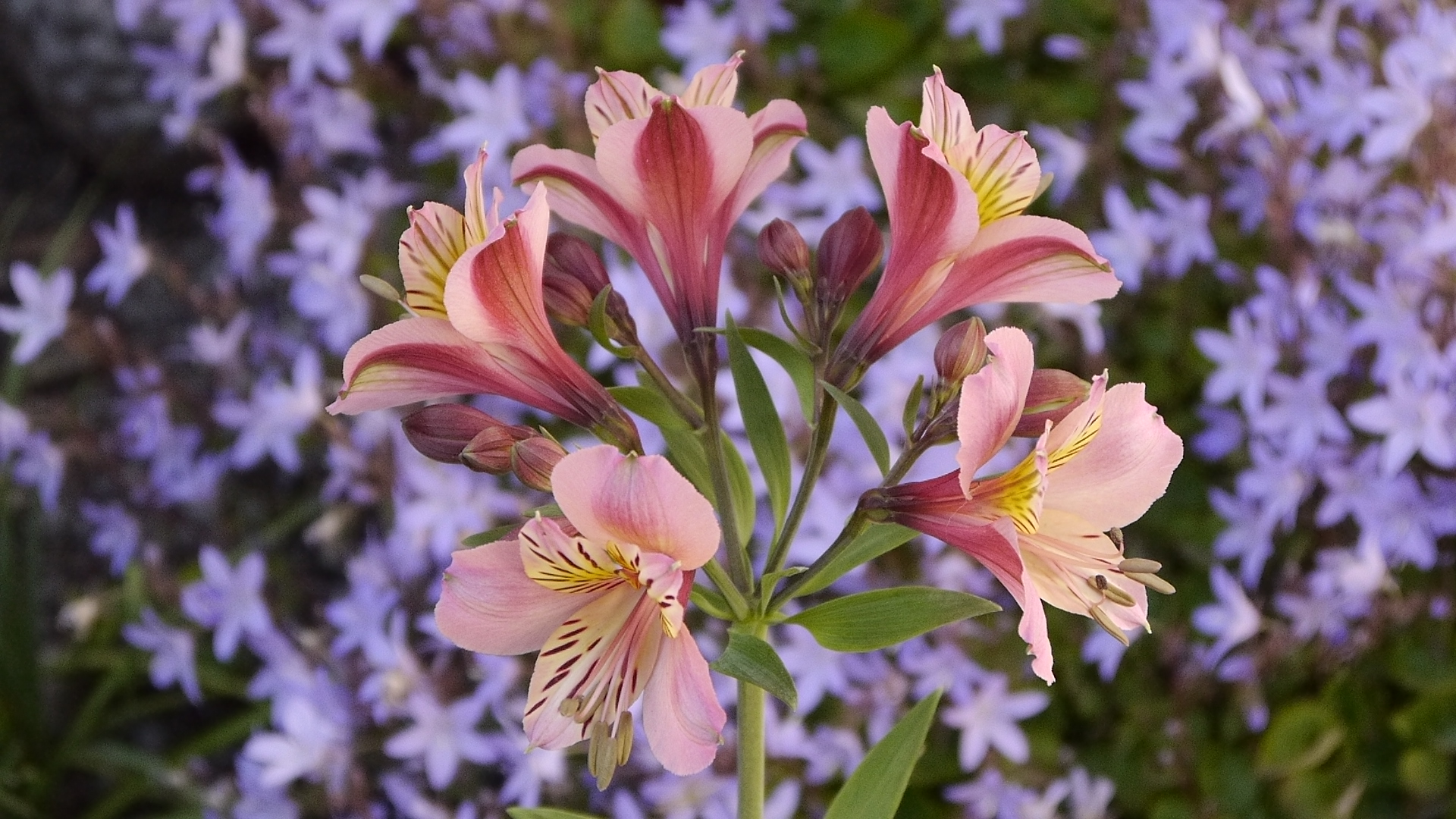 BELLEZAS NATURALES