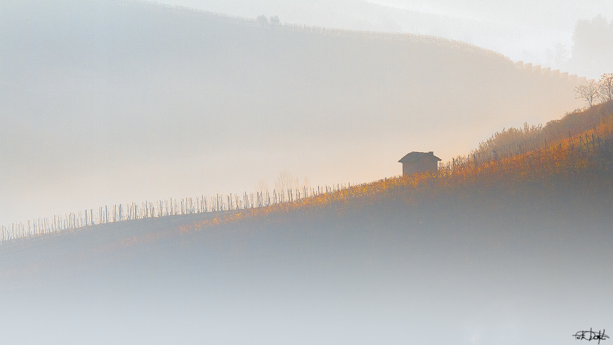 Bellezza Etera - Terre del Barolo.