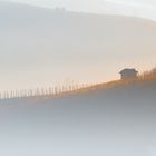 Bellezza Etera - Terre del Barolo.