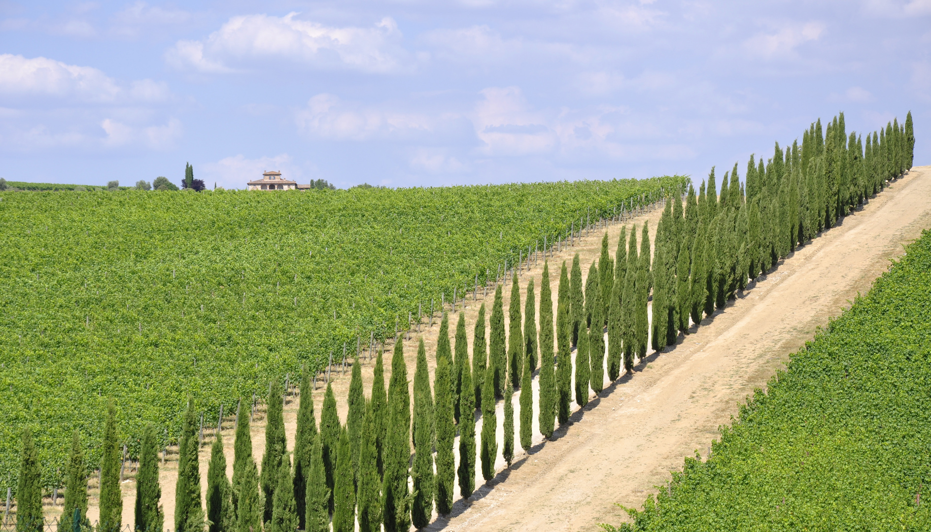 BELLEZZA TOSCANA