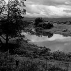 Bellingen Valley bei Regen