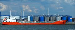 BELLINI / Oil/chemical Tanker / Antwerpen