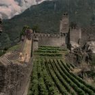 Bellinzona