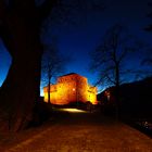 Bellinzona , Tessin