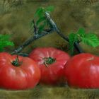 Bellos tomates 