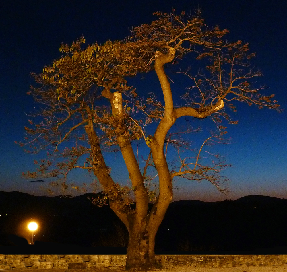 Belluno - tramonto