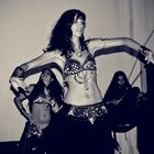 Belly dancers