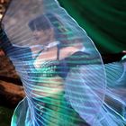 Bellydance III