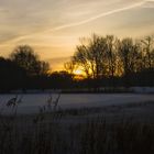  Belohnung für Frühaufsteher