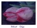 Beloved Tulips von Rhapsody09 