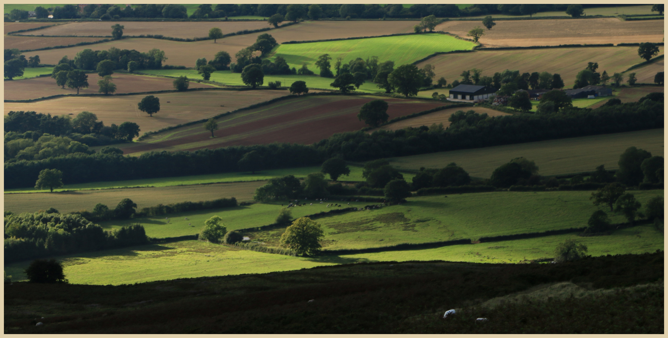 below Clee Hill 30