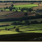 below Clee Hill 30