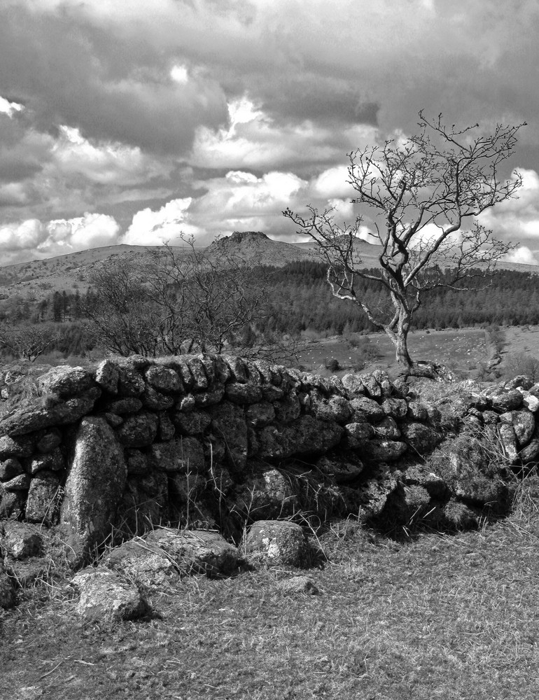 Below Down Tor