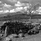 Below Down Tor