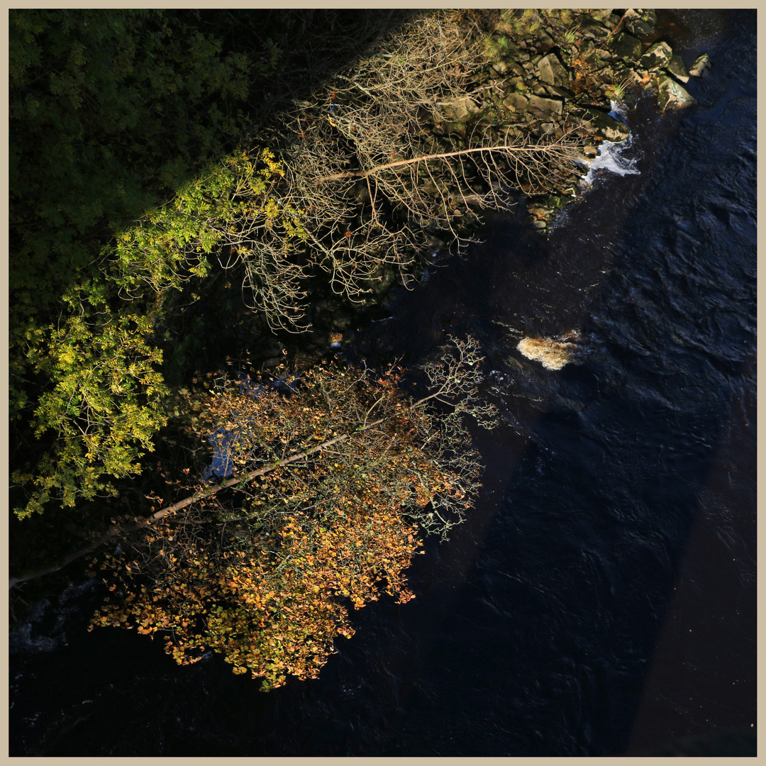 below lambley viaduct 3