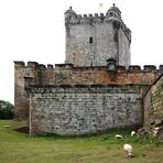 Below the Castle Walls