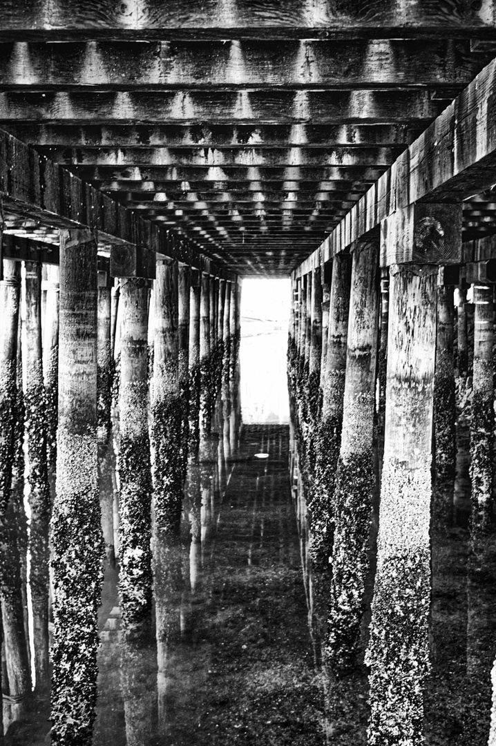 below the wooden pier