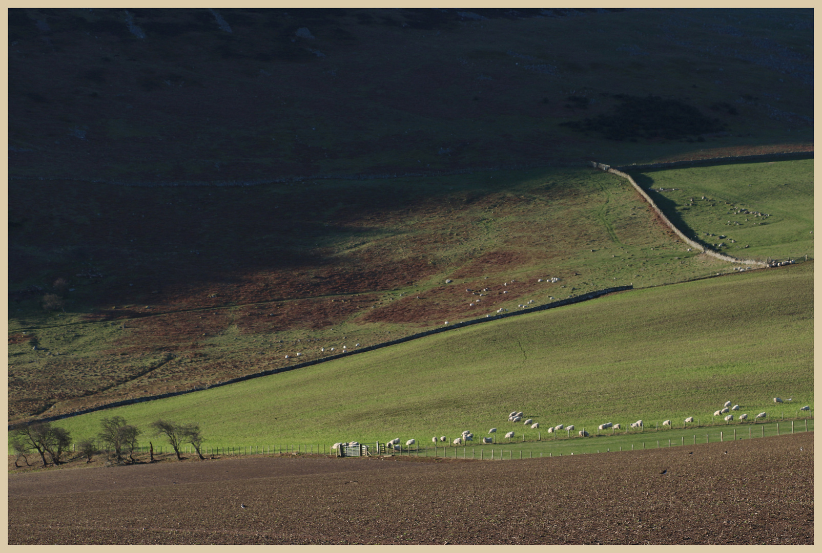 below yeavering bell