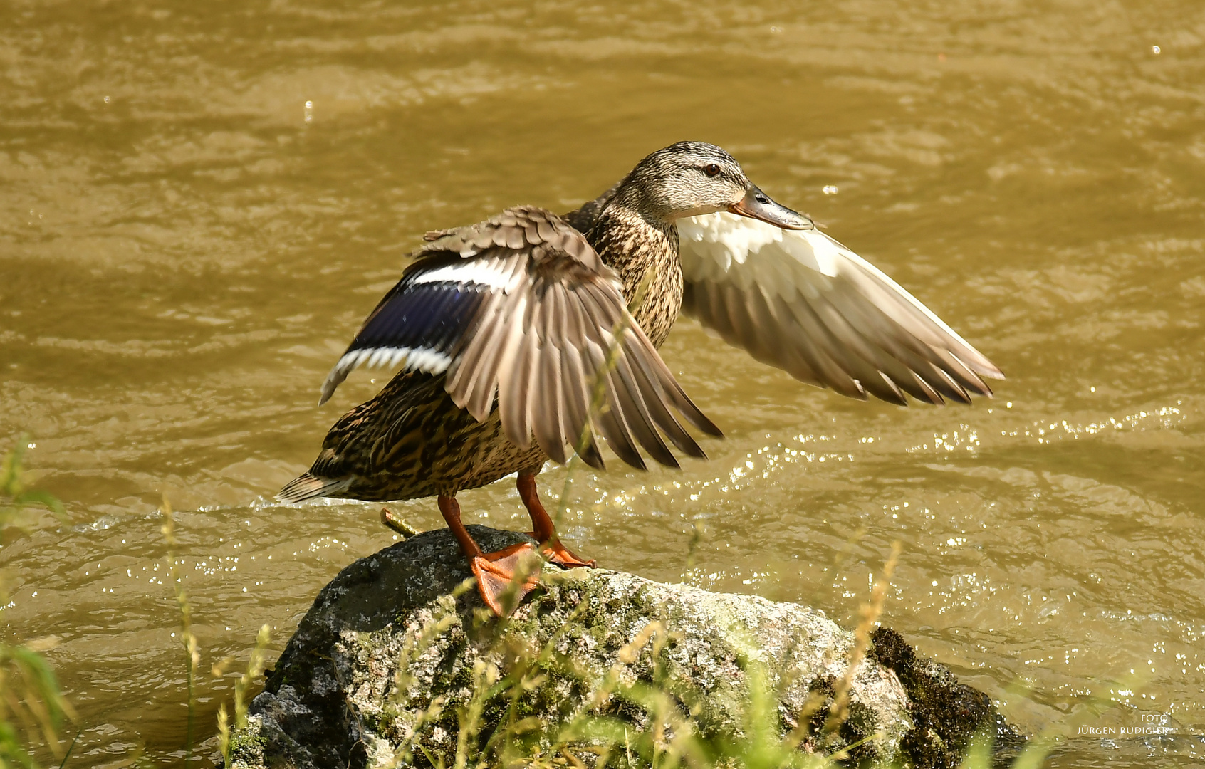 Belüften 