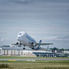 Beluga 2 beim Take off