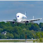 Beluga 4 im Anflug in Hamburg-Finkenwerder.....