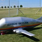 Beluga Airbus 