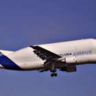 Beluga - Airbus A300-600ST