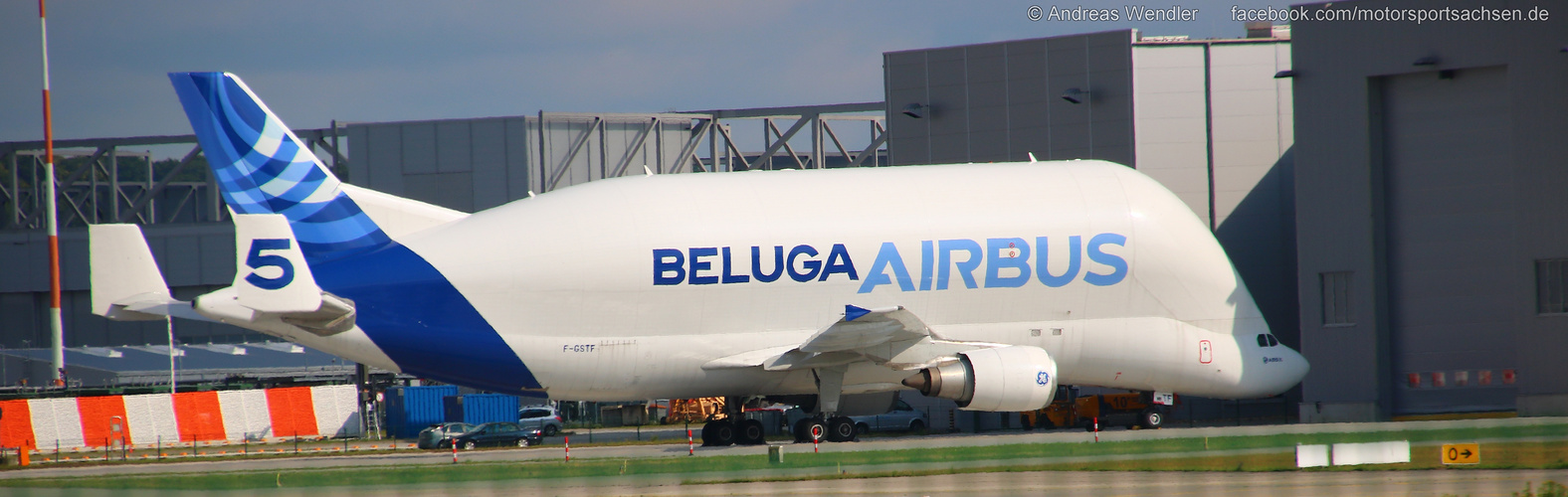 Beluga