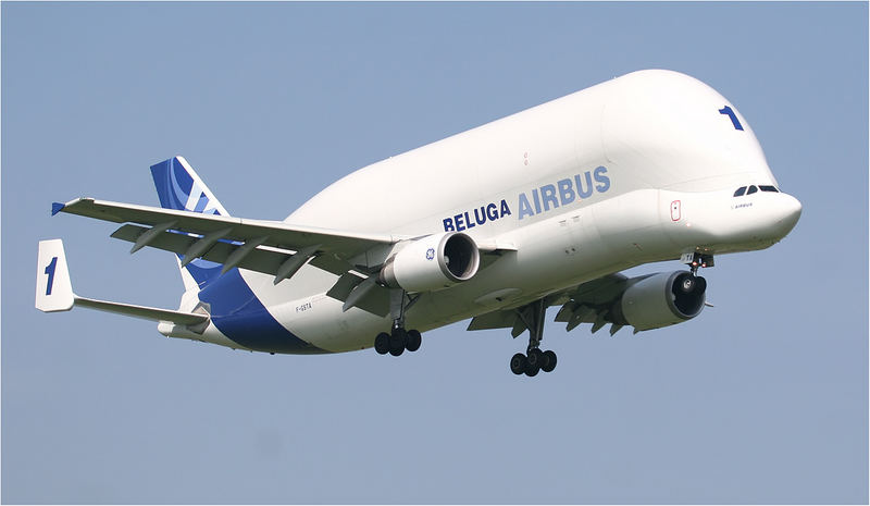 Beluga F-GSTA